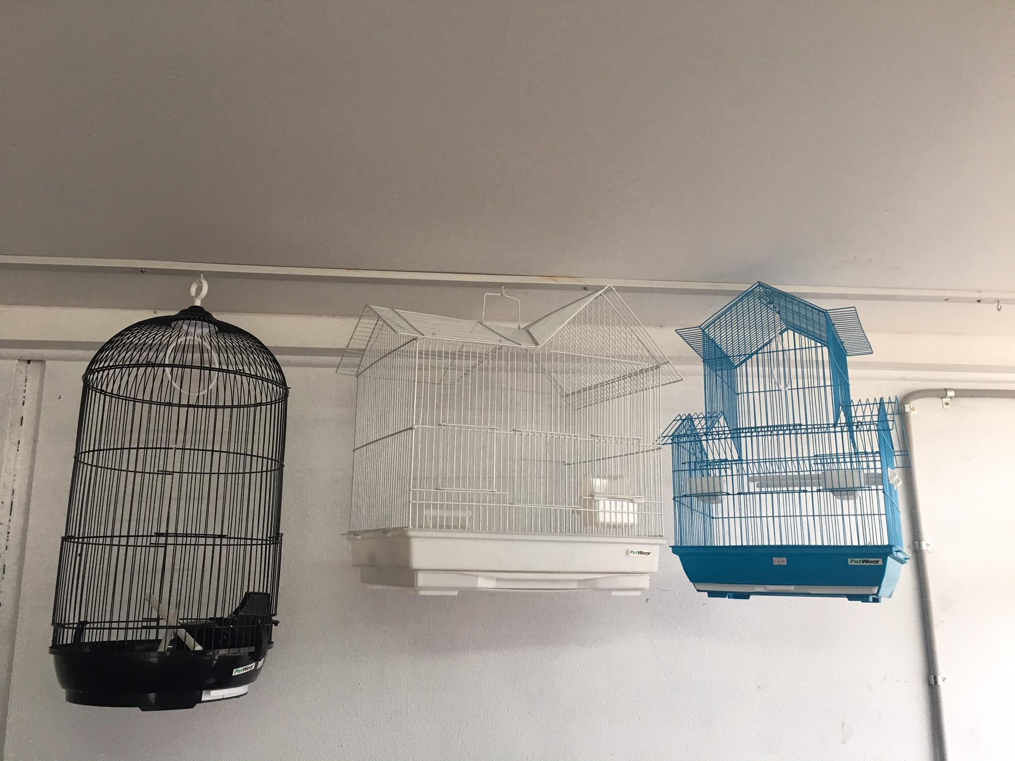 Bird Cage Melbourne 3