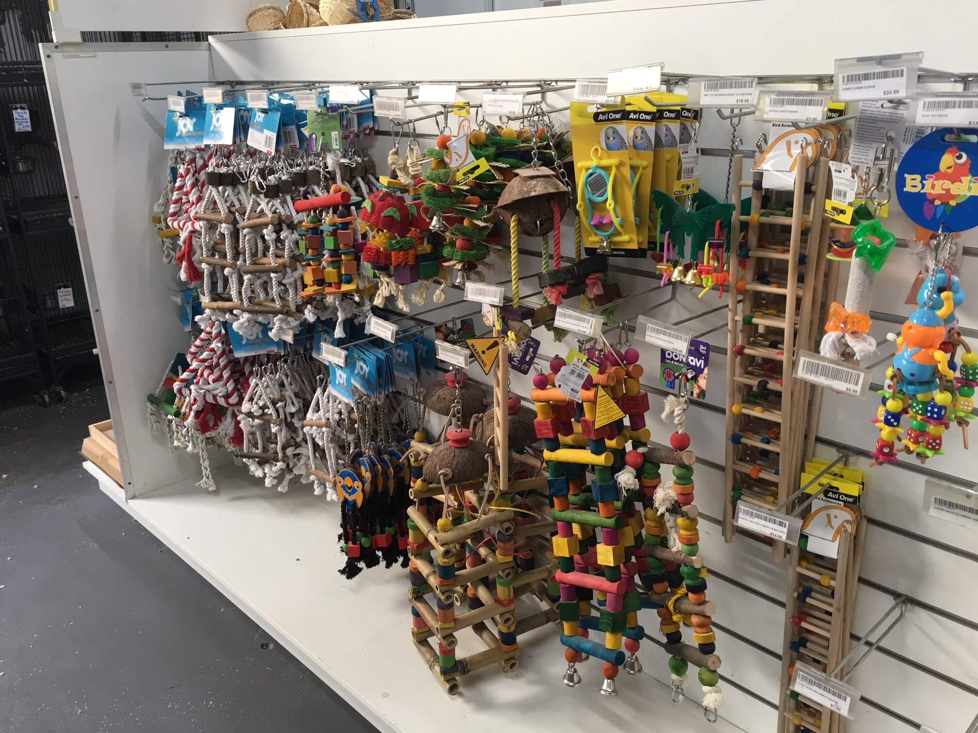 Parrot Toys Melbourne | Bird Shop Melbourne