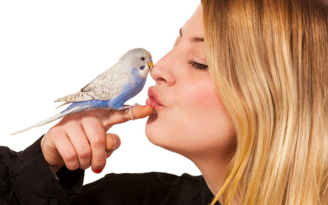 Budgie and Girl